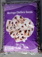 Moringa seeds