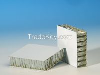 Aluminum Honeycomb Panels for Wall Cladding