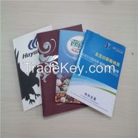 Custom Leaflet/Pamphlet/Brochure printing