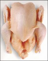 Best Quality Grade A Whole Frozen Chicken (Halal / Non Halal)