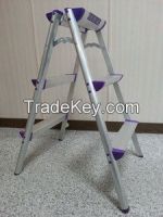 Aluminum Ladder