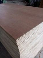 Vietnam industrial plywood