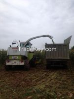 corn harvester machine