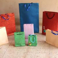 Shopping Paper Bags