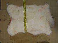 Frozen rabbit fur skins