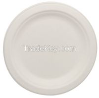 Disposable Bagasse Sugarcane Compostable Plate