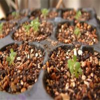 vermiculite for gardening