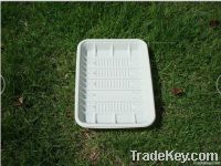 disposable plastic tray&plate&food tray&eco friendly