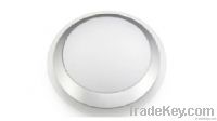 LED Panel light (L91000)