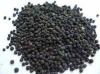 https://fr.tradekey.com/product_view/Black-Pepper-Seeds-7092543.html