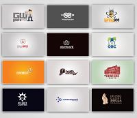 Professional Custom Logo Design Service