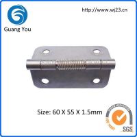 Stainless steel Spring hinges