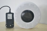Ceiling type gas detector with WIFI for hotel, apartment, department store