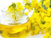 Refined Rapeseed Oil or