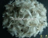 Hot Sellingwashed White/grey Duck Feather For Filling Sofa, Cushion, Bedding Products