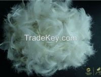 Hot Sellingwashed White/grey Duck Feather For Filling Sofa, Cushion, Bedding Products