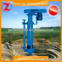 GXSP Vertical Water Pump
