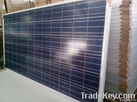 New product polycrystalline 300w cheap solar panel China
