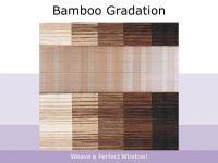 Bamboo Gradation
