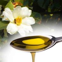 oragnic camellia cooking oil 