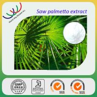 free sample GMP manufacturer top quality fatty acid saw palmetto extract 25%~45%