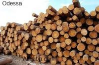 Pine round wood