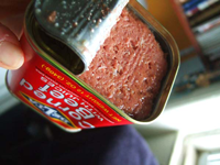 Canned Beef 