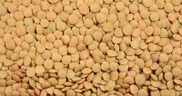 Richlea Green Lentils