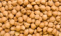 Chick Peas