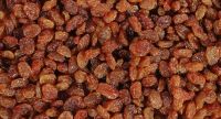 Sultana Raisins