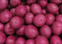 Red Skinned Potatoes
