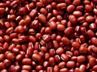 Adzuki Beans / Organic / Non-GMO