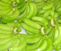 Green Cavendish Banana