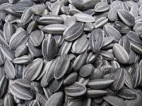 Supply all types of sun flower seeds