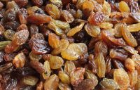 HIGH QUALITY  RAISIN FOR EXPORT
