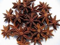 Best quality star anise seeds