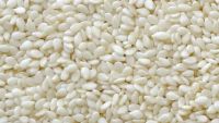 Hulled White Sesame Seed