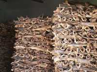 100% Quality Dried StockFish