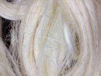 Raw sisal fiber