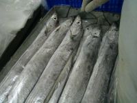 Fresh Frozen Pollock Fish, Greenland Halibut Fish and Ribbon Fish