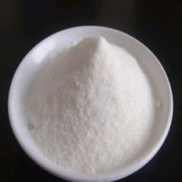 High Quality Natural Sweetener Powder Sucralose with Good Price and Fast Delivery