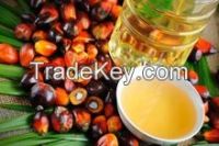 Crude Palm oil, Palm oil, v...