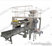 automatic powder packaging machine