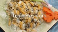 Frozen Yellow Clam