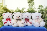 https://ar.tradekey.com/product_view/Baby-Bear-Plush-Toy-7152976.html