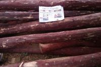 red sanders, beads, logs, furniture, oil, handicrafts, etc.. 