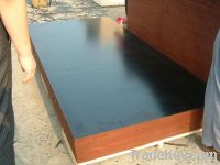 High Quality Film Faced Plywood for construction use