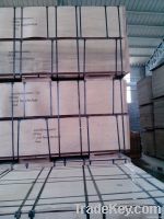  Film Faced Plywood ( Good Quality)