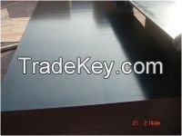 low price film faced plywood