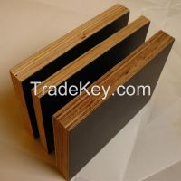 sengang plywood